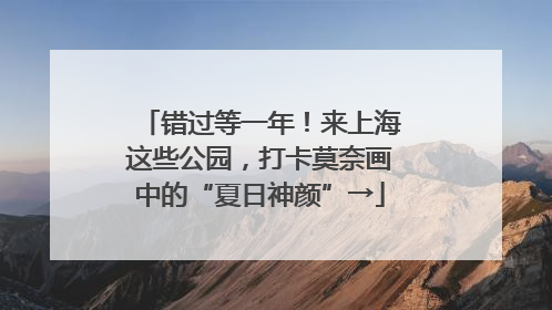 错过等一年！来上海这些公园，打卡莫奈画中的“夏日神颜”→